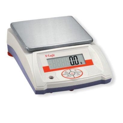 Precision Balances